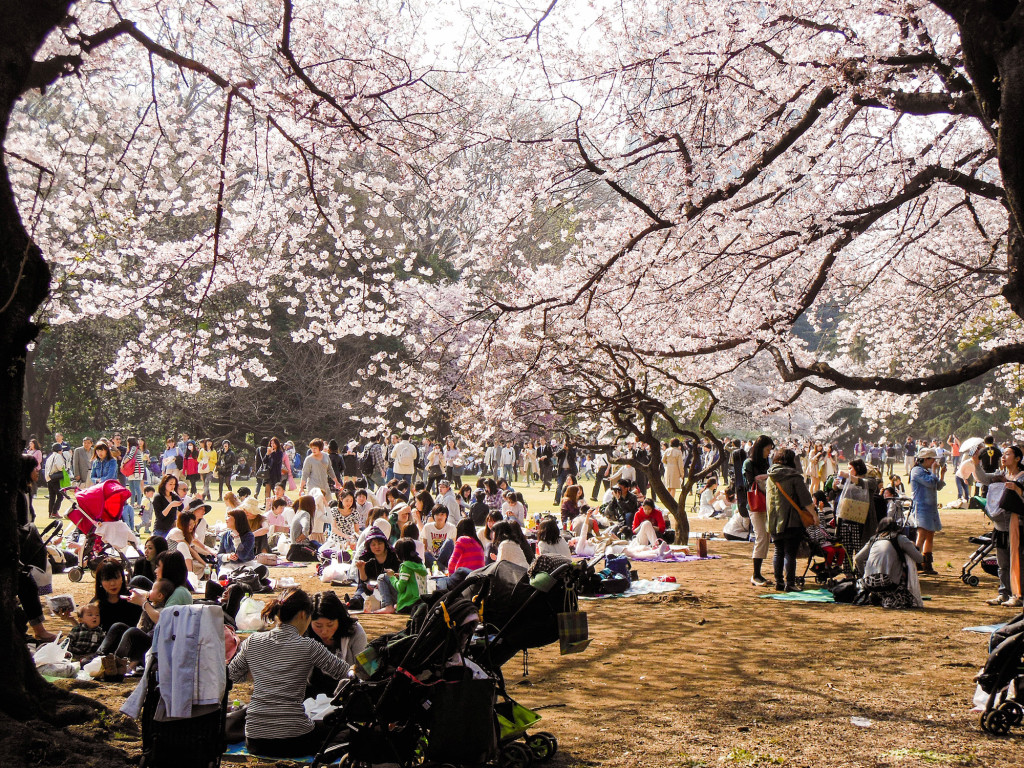 Japan Trip 2015 - Hanami parties in Shinjuku Gyoen