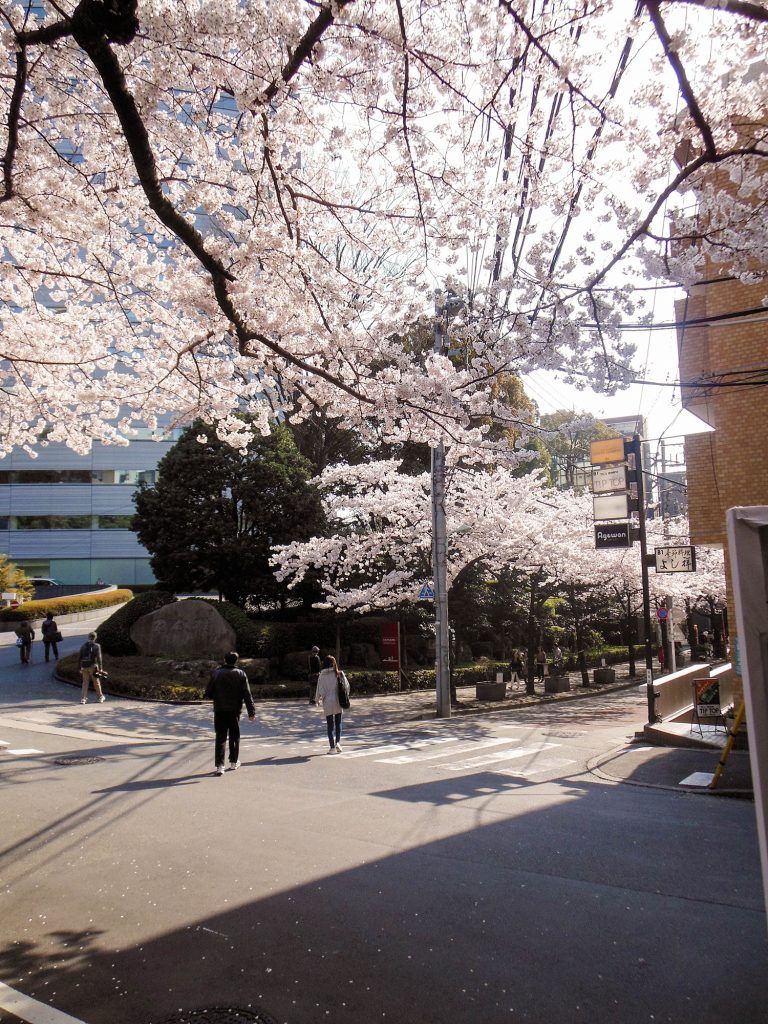 Japan Trip 2015 - Walking down to the Meguro River