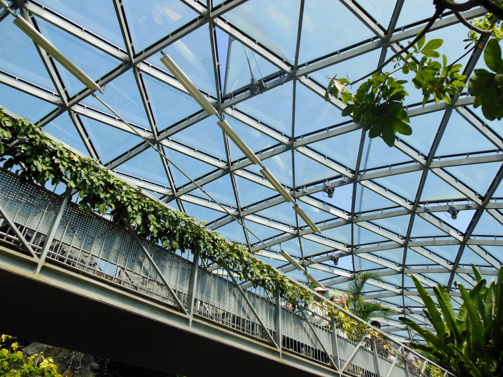 Japan Trip 2015 - Shinjuku Gyoen glasshouse