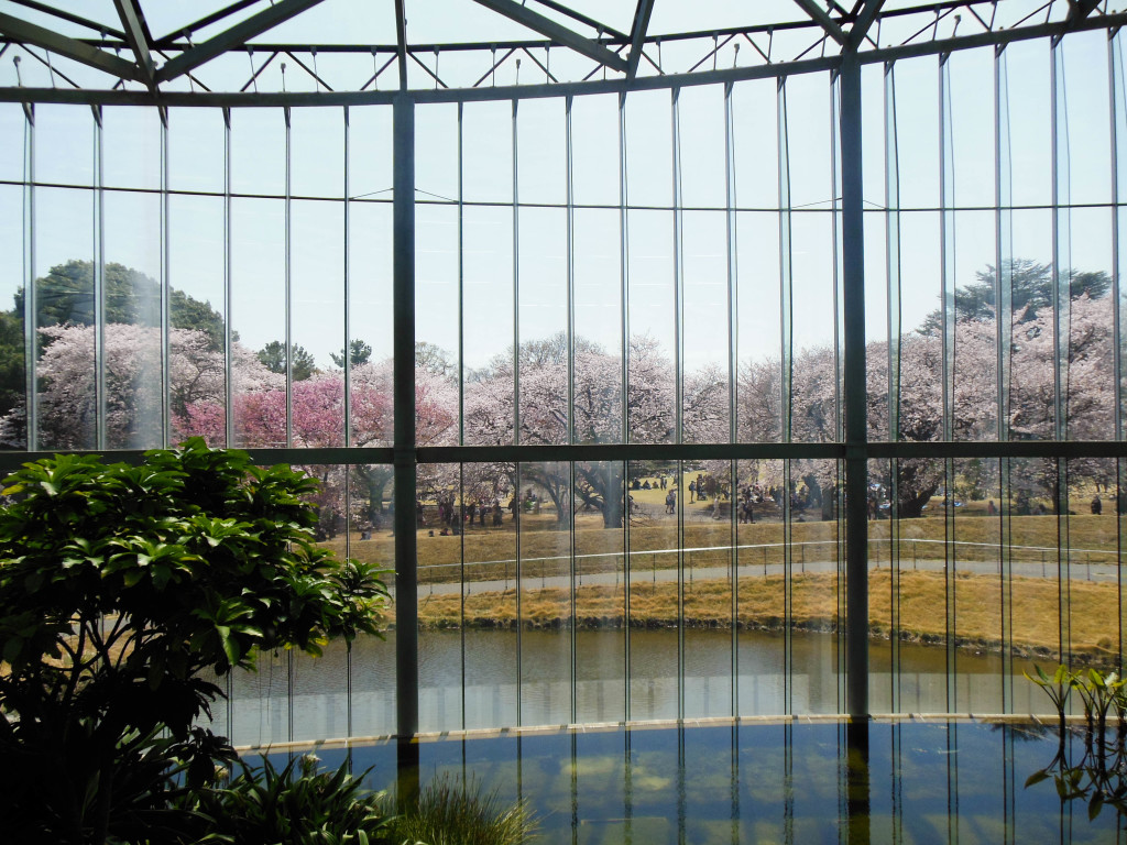 Japan Trip 2015 - Shinjuku Gyoen glasshouse