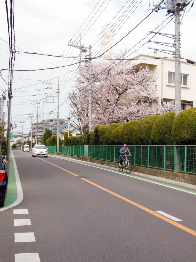 Japan Trip 2015 - Saitama