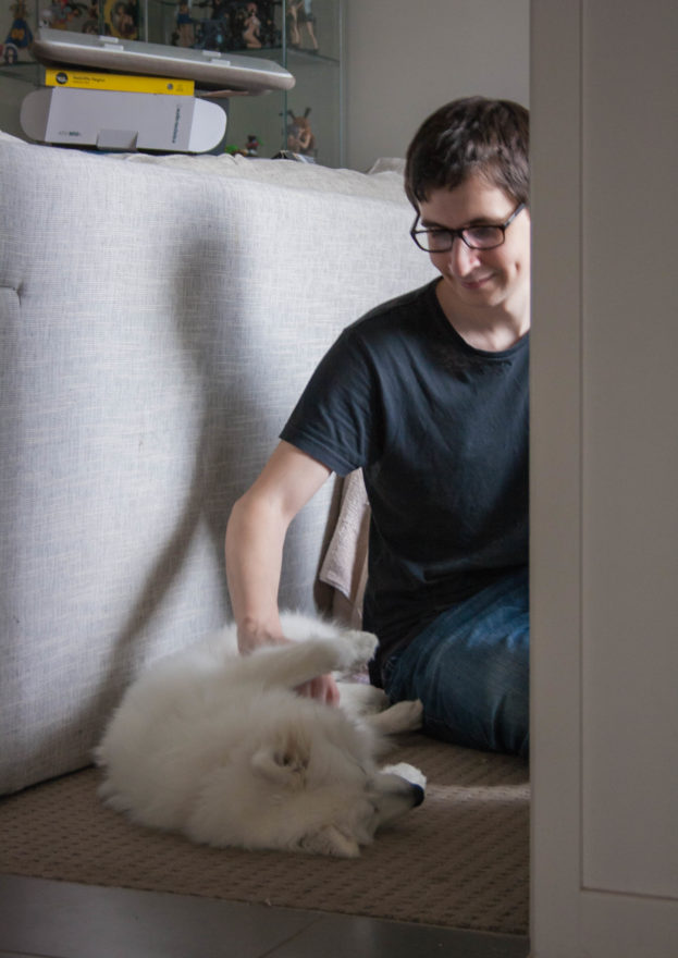 A year with Lucy, the Japanese Spitz - Belly rub time
