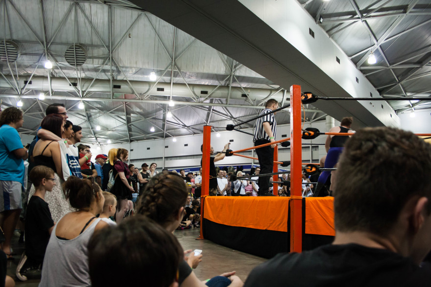 Supanova Brisbane 2015 - AWF Wrestling crowd