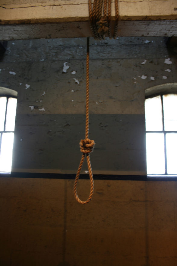 Noose