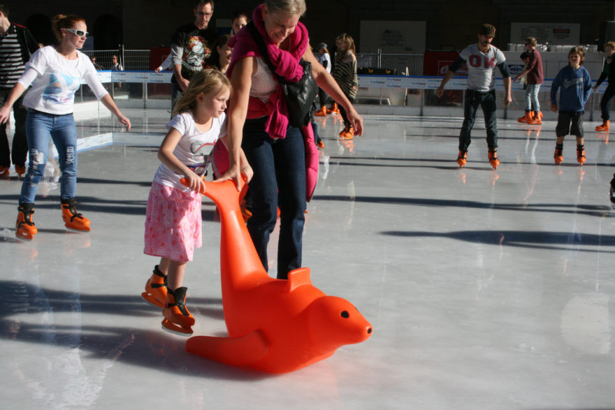 "Bobby" the seal at the Brisbane Winter Festival