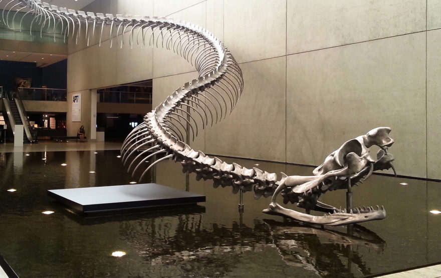 The 7th Asia Pacific Triennial of Contemporary Art (APT7) - Ressort by Huang Yong Ping