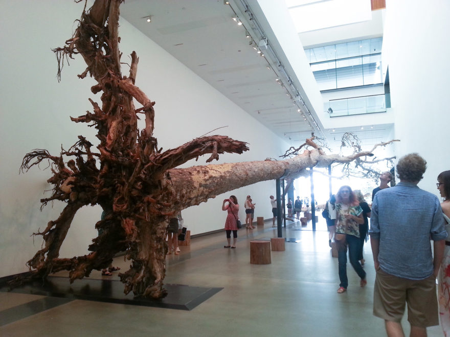 Eucalyptus by Cai Guo-Qiang