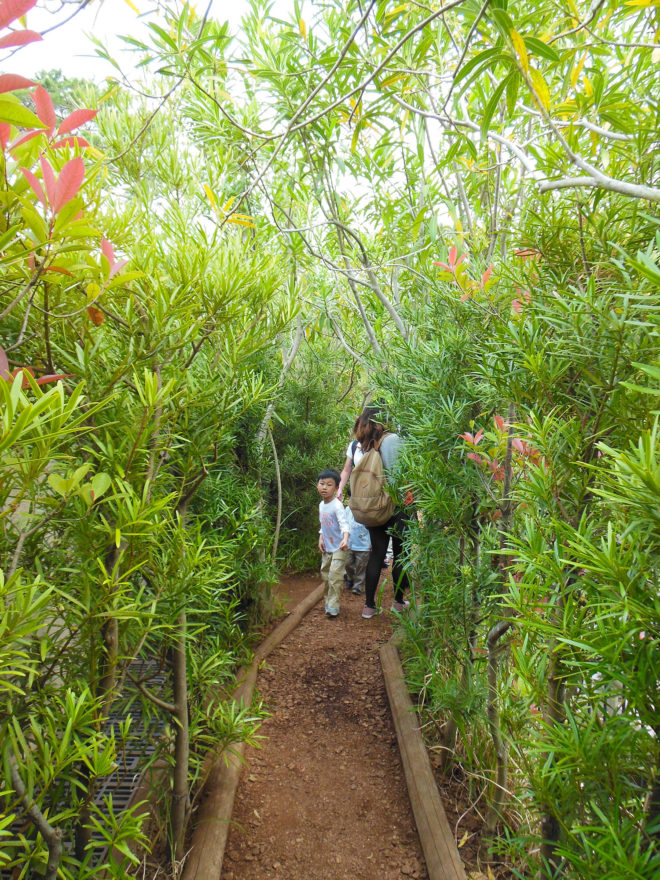 Japan Trip 2013 - Roof Garden at Ghibli Museum in Mitaka