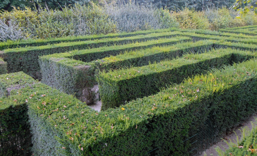 Austria 2016 - Schloss Schönbrunn Maze