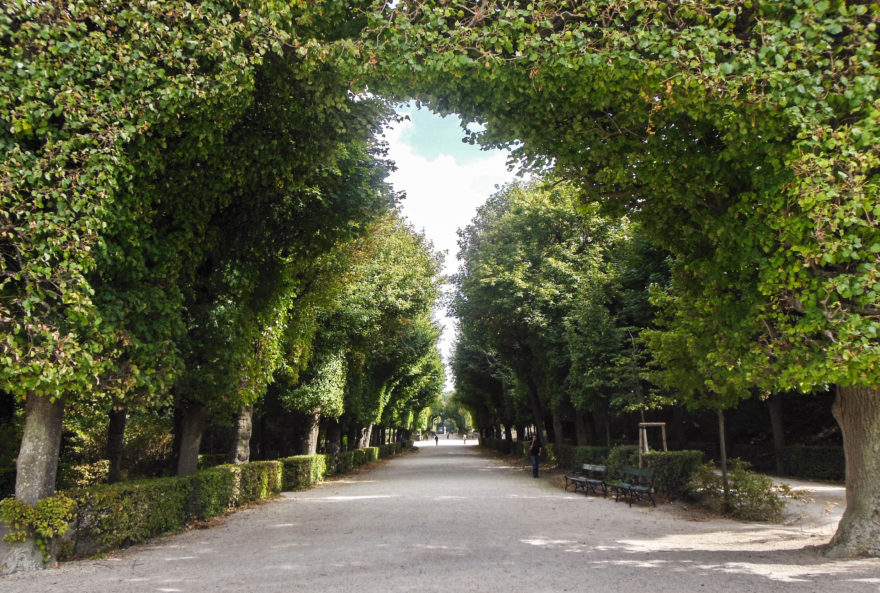 Austria 2016 - Schloss Schönbrunn gardens