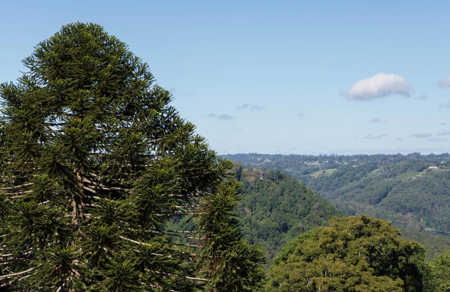 Monitville - View from the apartments