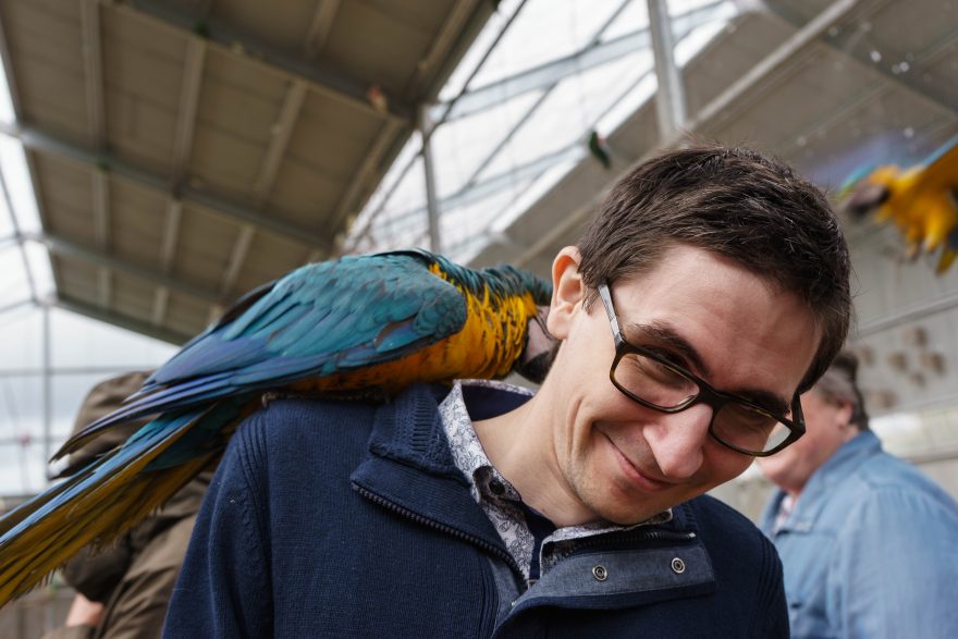 Montville - Maleny Botanic Gardens & Bird World
