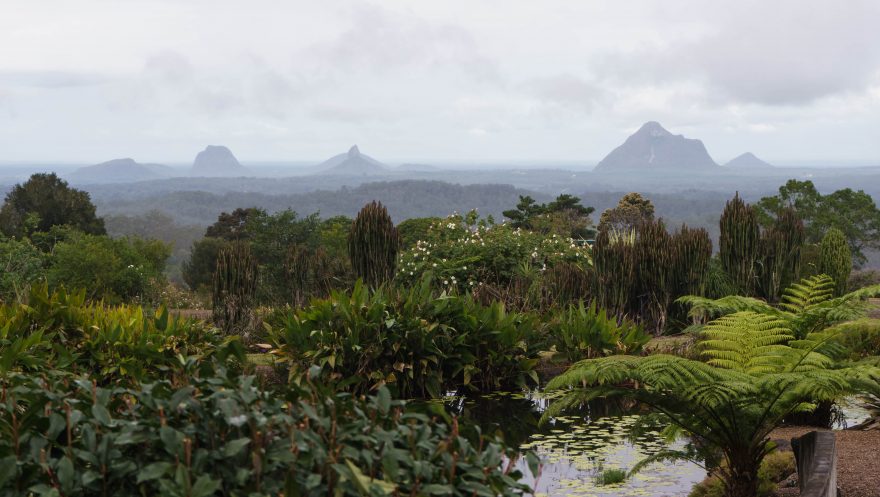 Montville 2018 - Maleny Botanic Gardens & Bird World