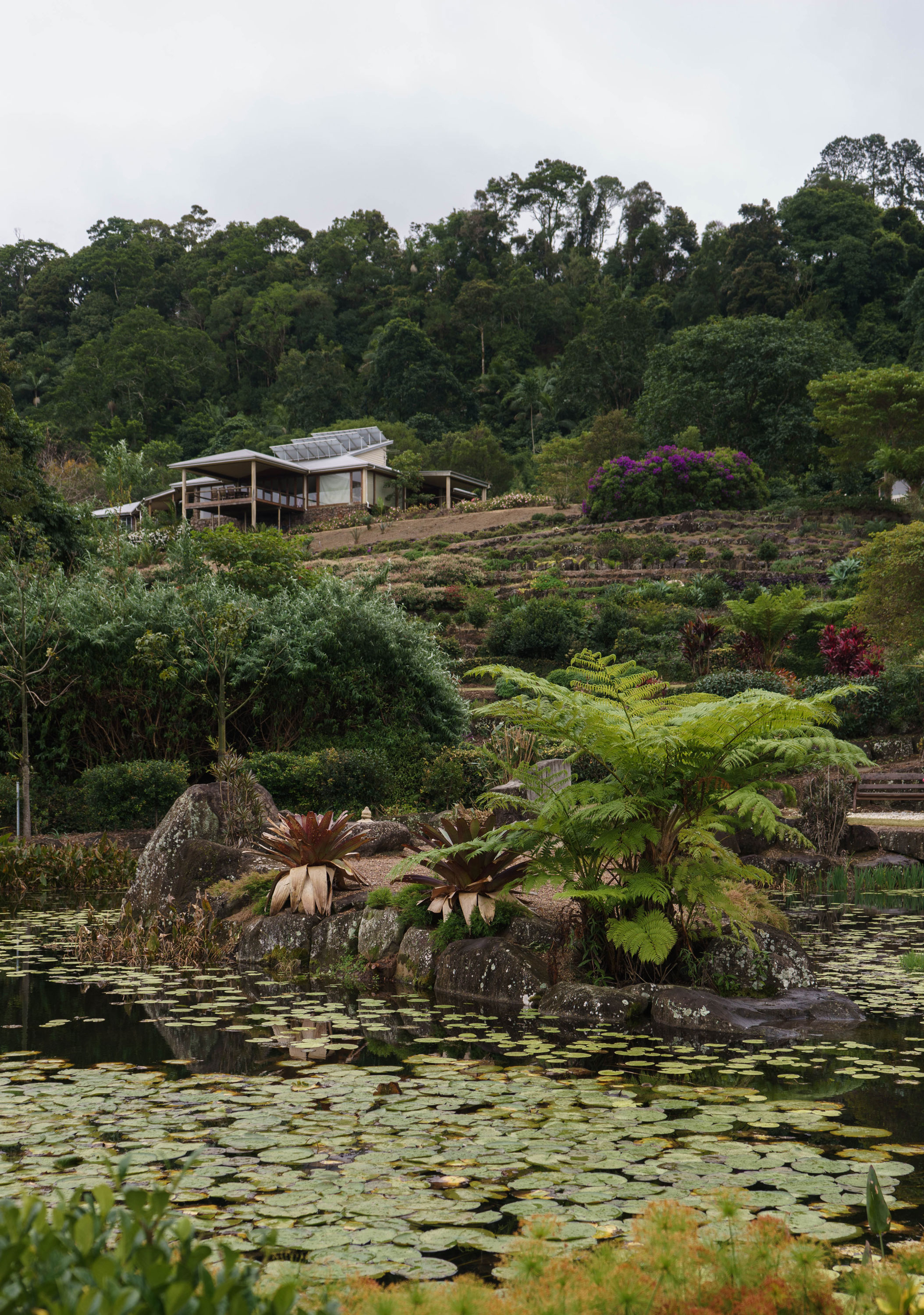 Montville - Maleny Botanic Gardens & Bird World