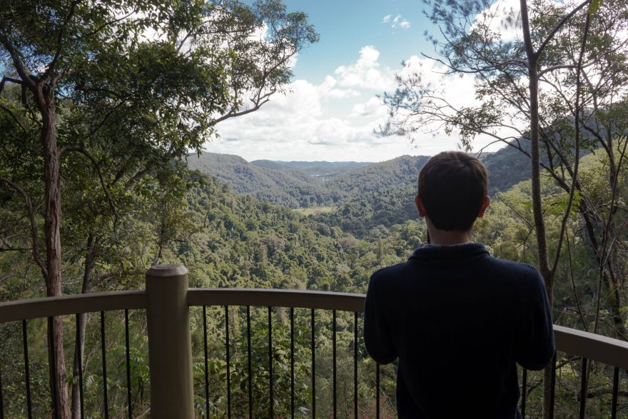 Montville - Kondalilla National Park