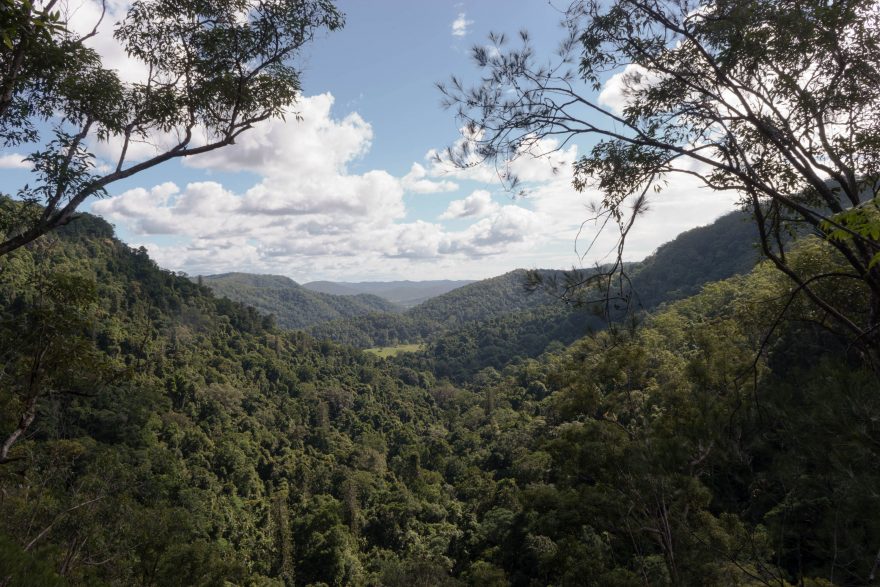 Montville - Kondalilla National Park