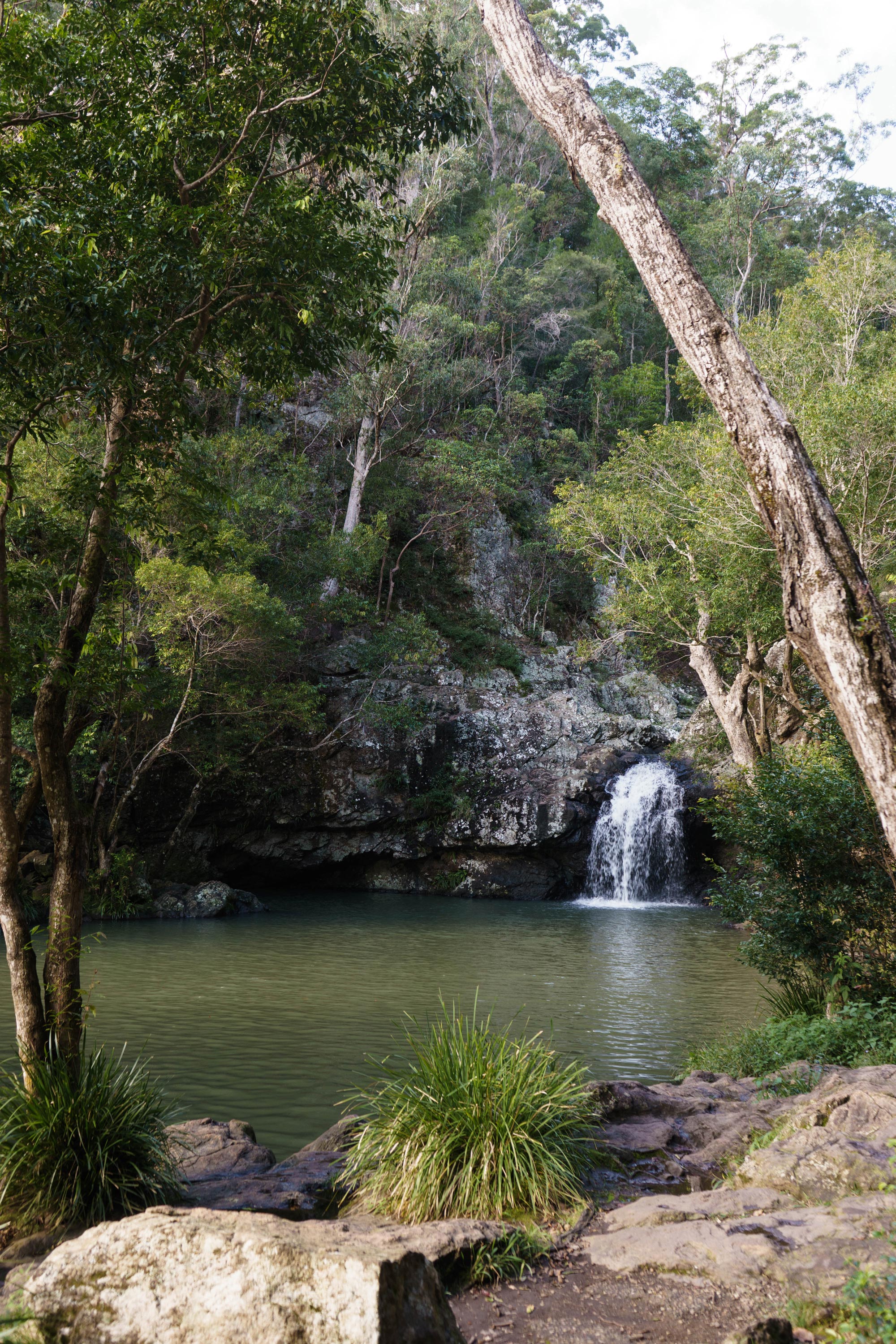 Montville - Kondalilla National Park