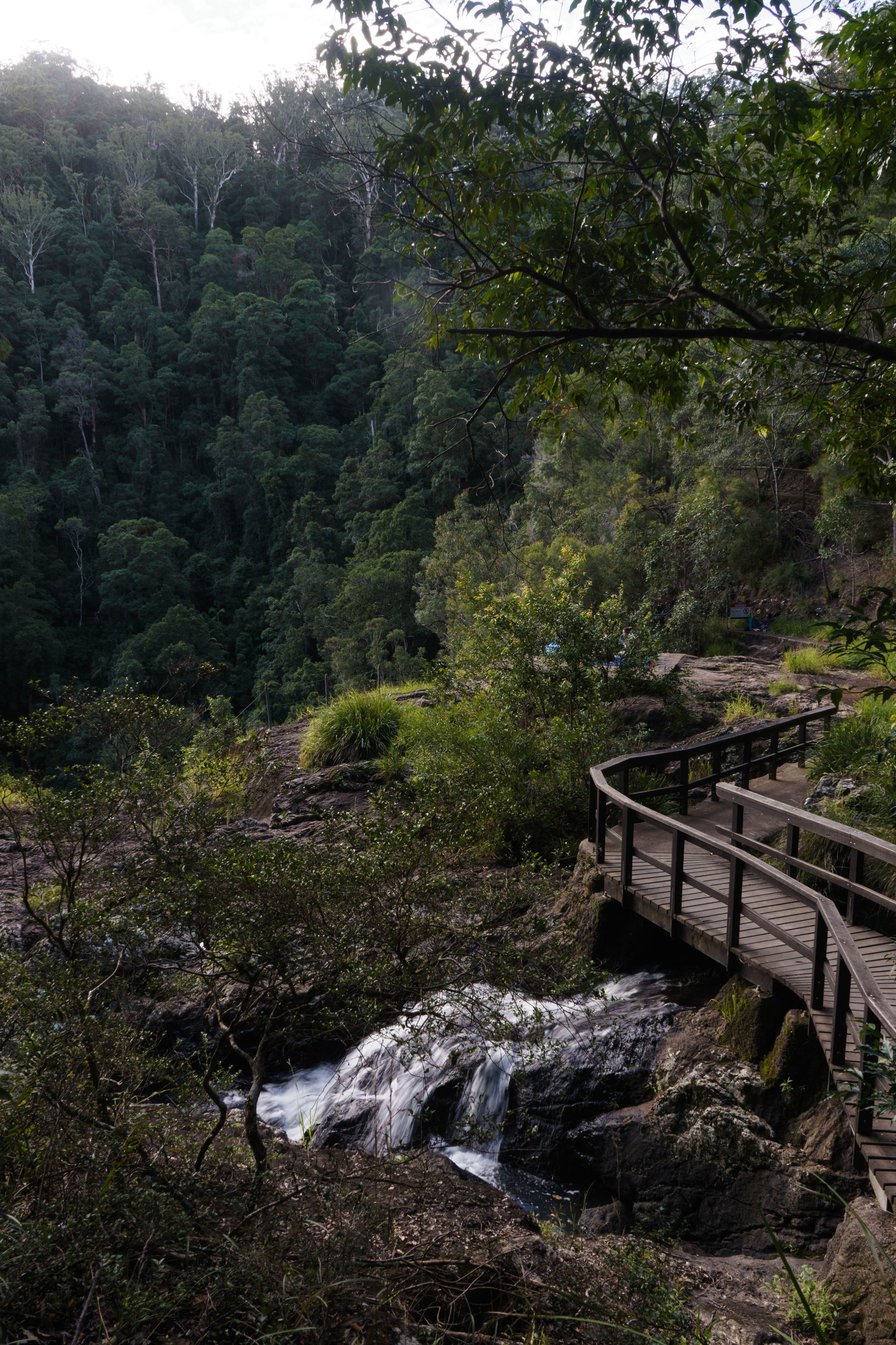 Montville - Kondalilla National Park