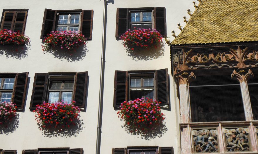 Close up of golden roof and flowers - Innsbruck, Austria
