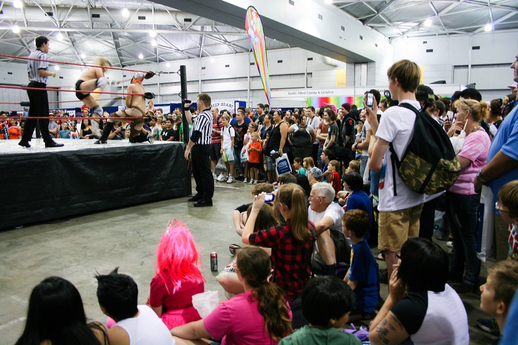 Brisbane Supanova 2014 - AWF fight 