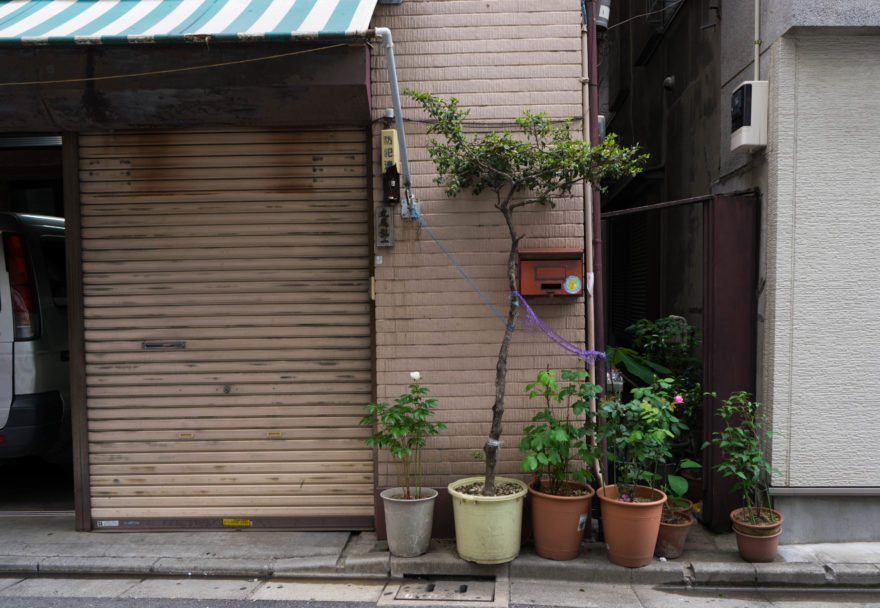 Akihabara - Tokyo, Japan 2017
