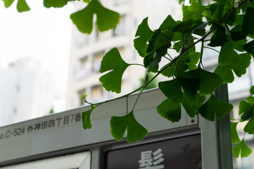 Akihabara - Tokyo, Japan 2017