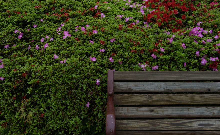 Gora Park - Hakone, Japan