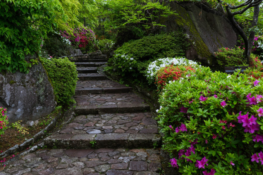 Gora Park - Hakone, Japan