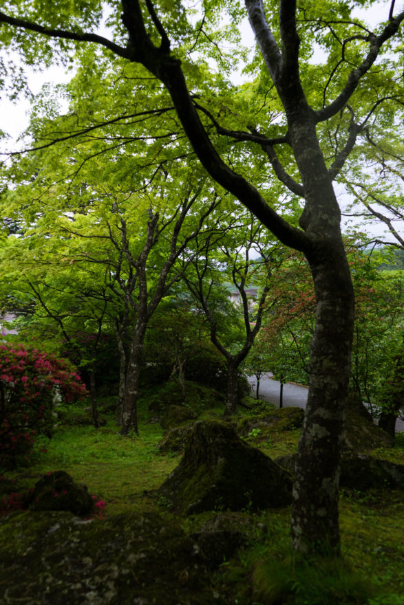 Gora Park - Hakone, Japan