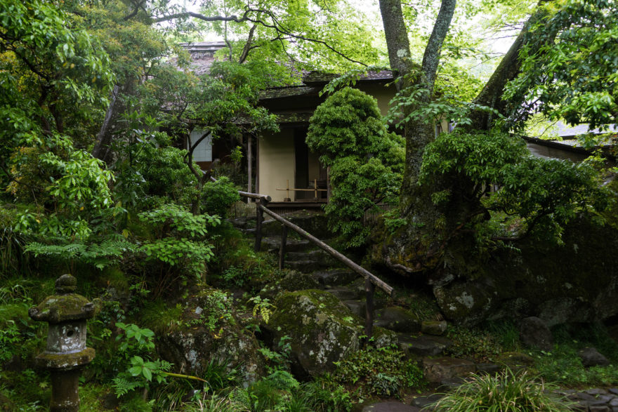 Gora Park - Hakone, Japan