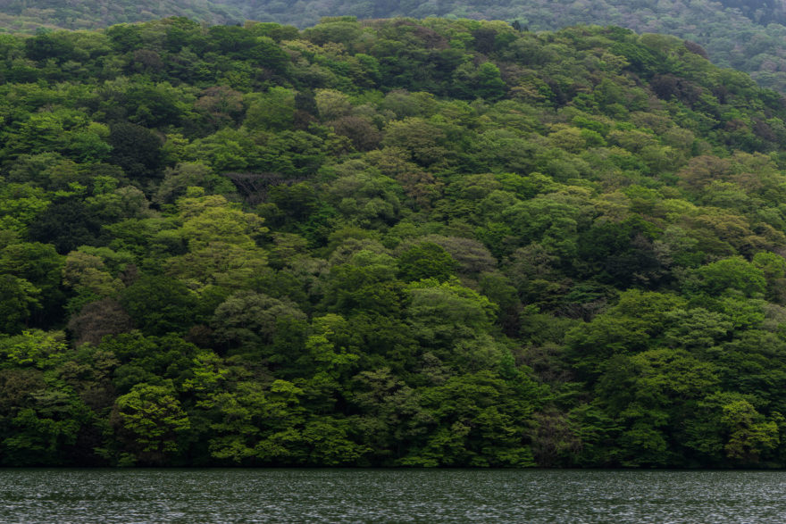 Lake Ashi - Hakone, Japan