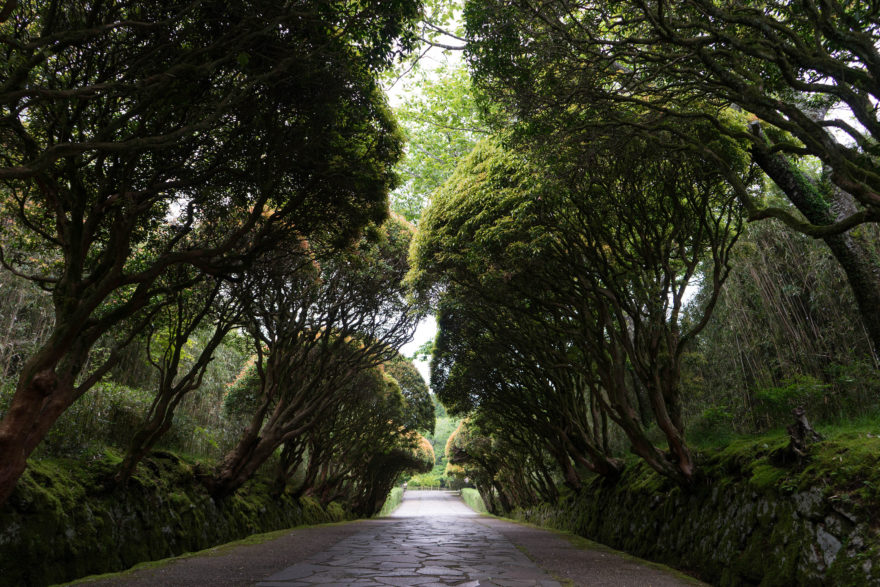 Detached Palace gardens - Hakone, Japan