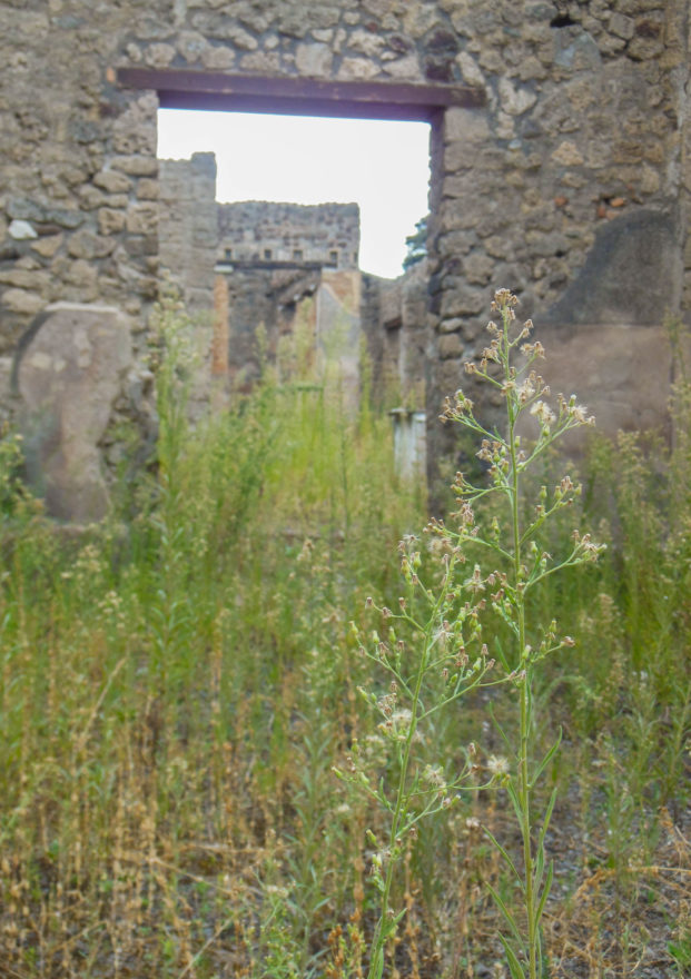 Italy - The Pompeii Ruins